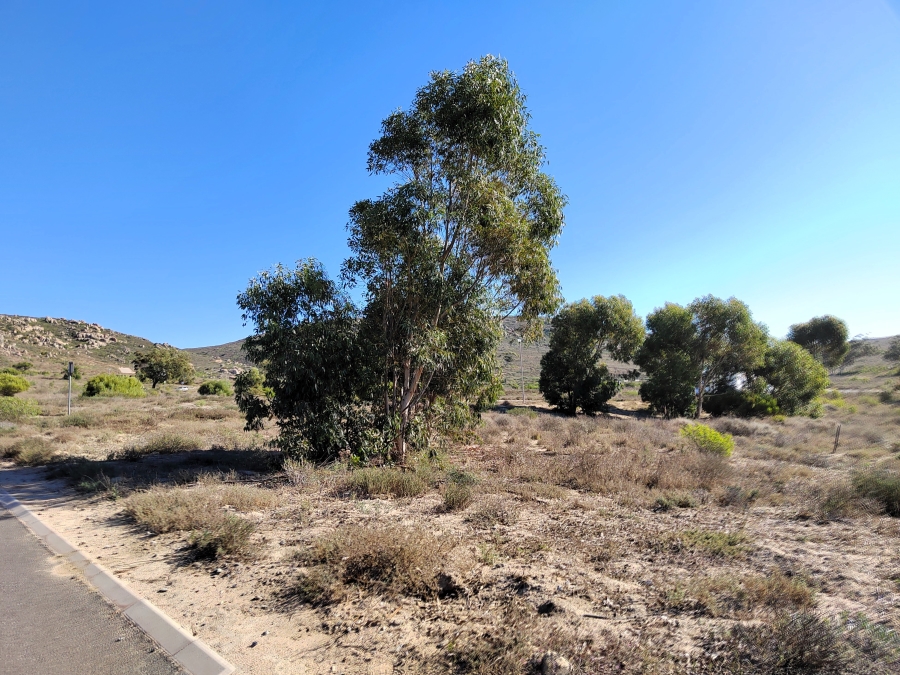 0 Bedroom Property for Sale in St Helena Views Western Cape